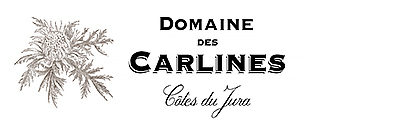 DOMAINES DES CARLINES Lasuite Atelier